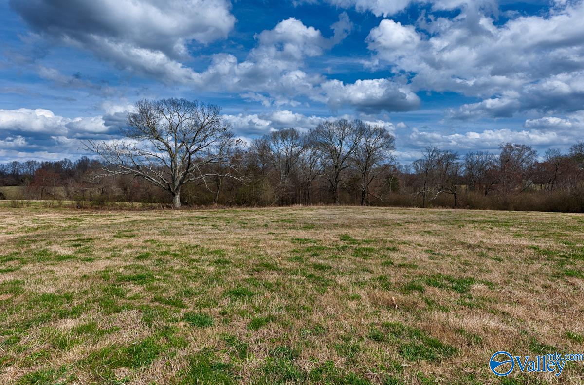 17 Acres County Road 656, Anderson, Alabama image 1