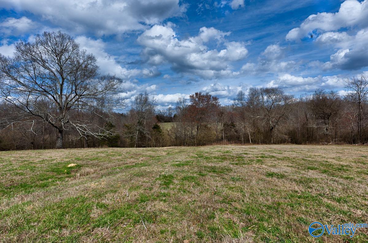 17 Acres County Road 656, Anderson, Alabama image 4