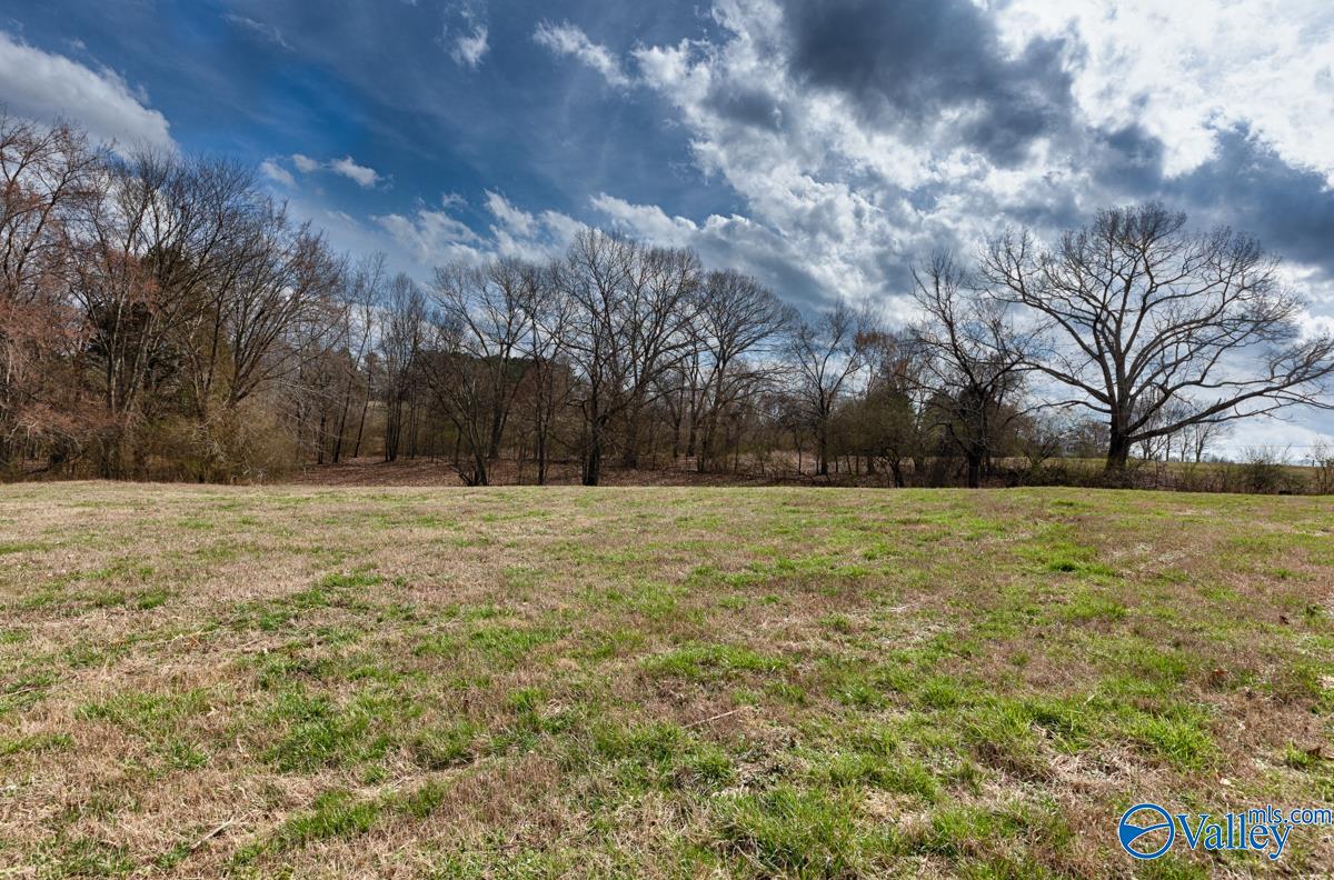 17 Acres County Road 656, Anderson, Alabama image 3