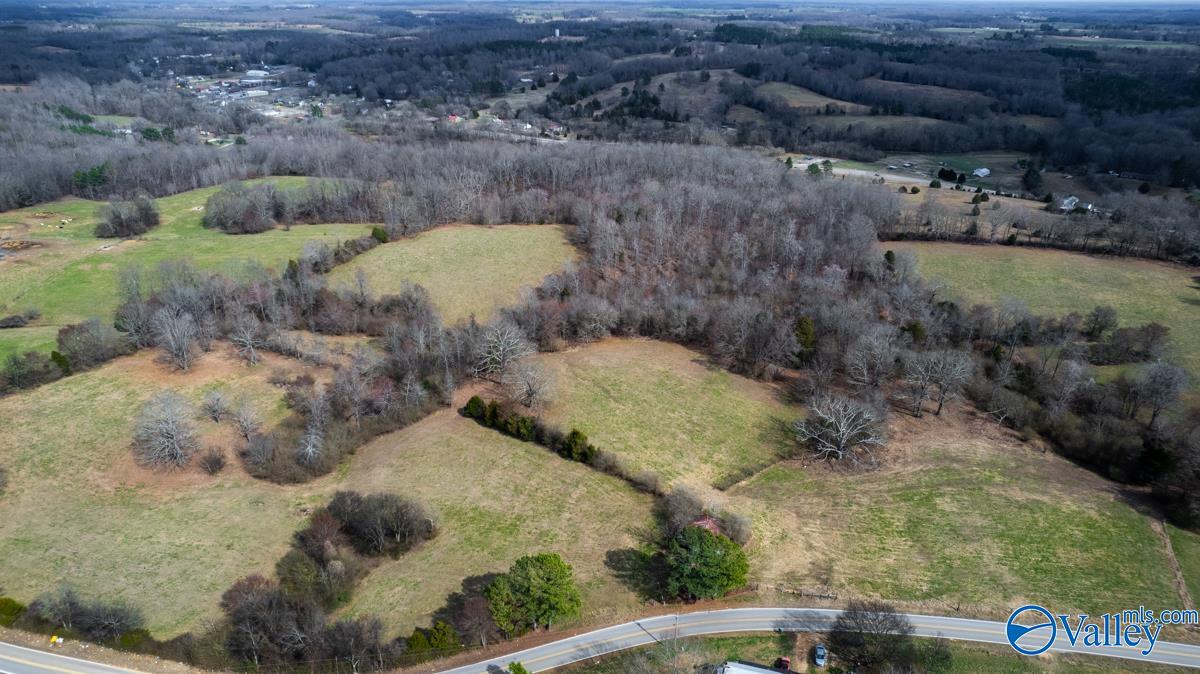 17 Acres County Road 656, Anderson, Alabama image 6