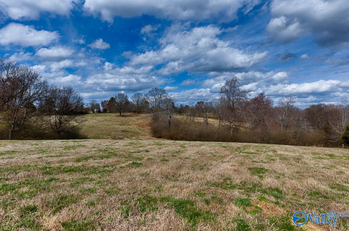 17 Acres County Road 656, Anderson, Alabama image 2