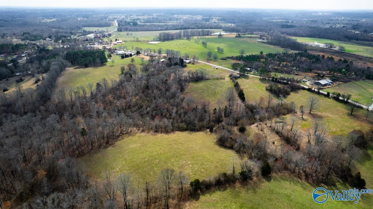 17 Acres County Road 656, Anderson, Alabama image 9