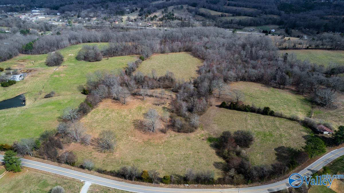 17 Acres County Road 656, Anderson, Alabama image 7