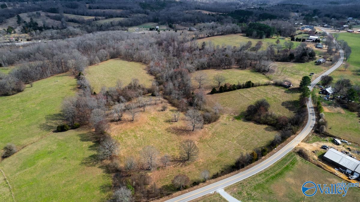 17 Acres County Road 656, Anderson, Alabama image 8