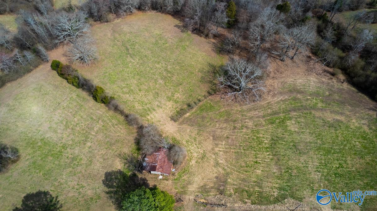 17 Acres County Road 656, Anderson, Alabama image 5