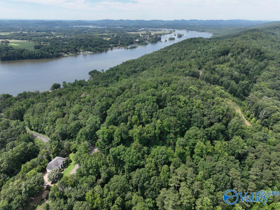 1.09 Acres South Ridge Road, Rainbow City, Alabama image 11