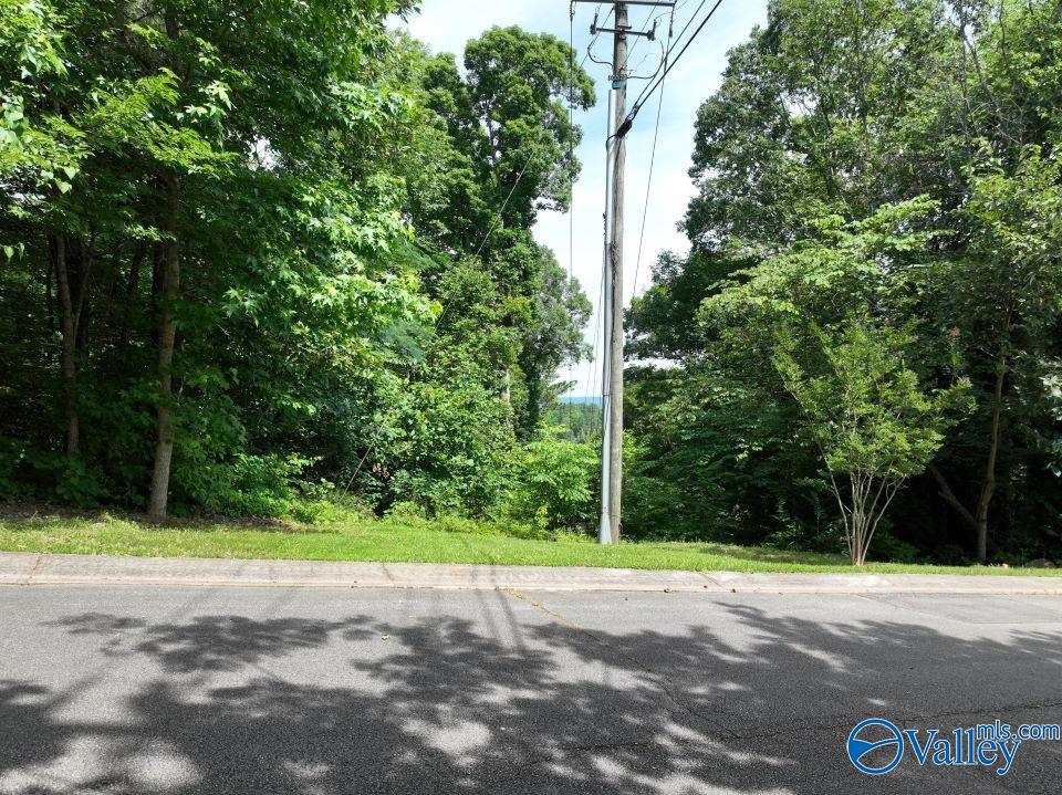 1.09 Acres South Ridge Road, Rainbow City, Alabama image 6