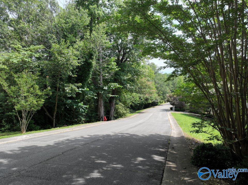 1.09 Acres South Ridge Road, Rainbow City, Alabama image 7