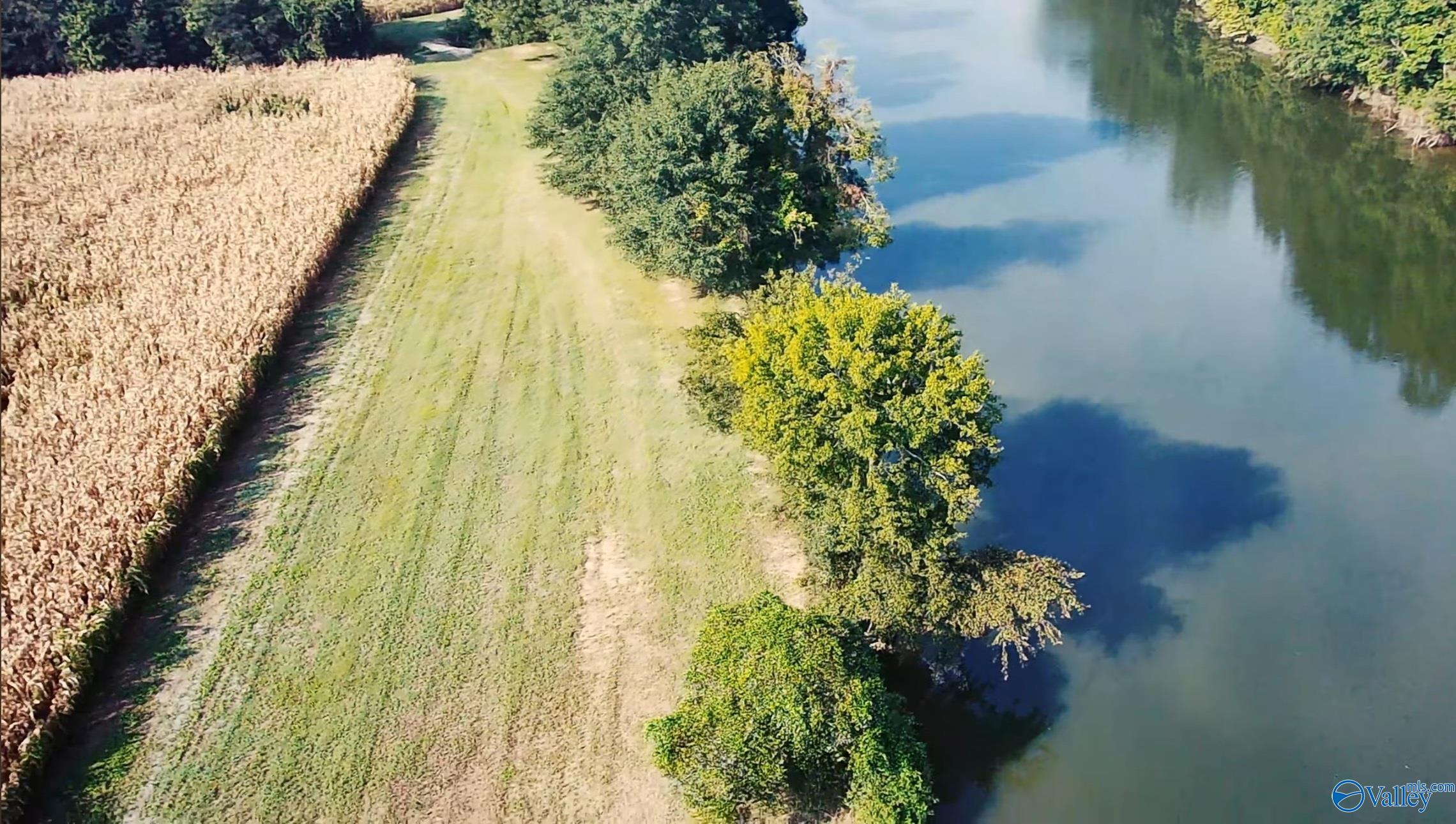 24.2 Acres C C Ivey Road