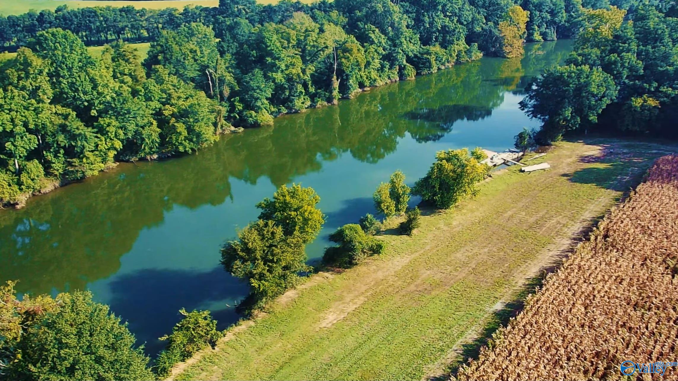 24.2 Acres C C Ivey Road