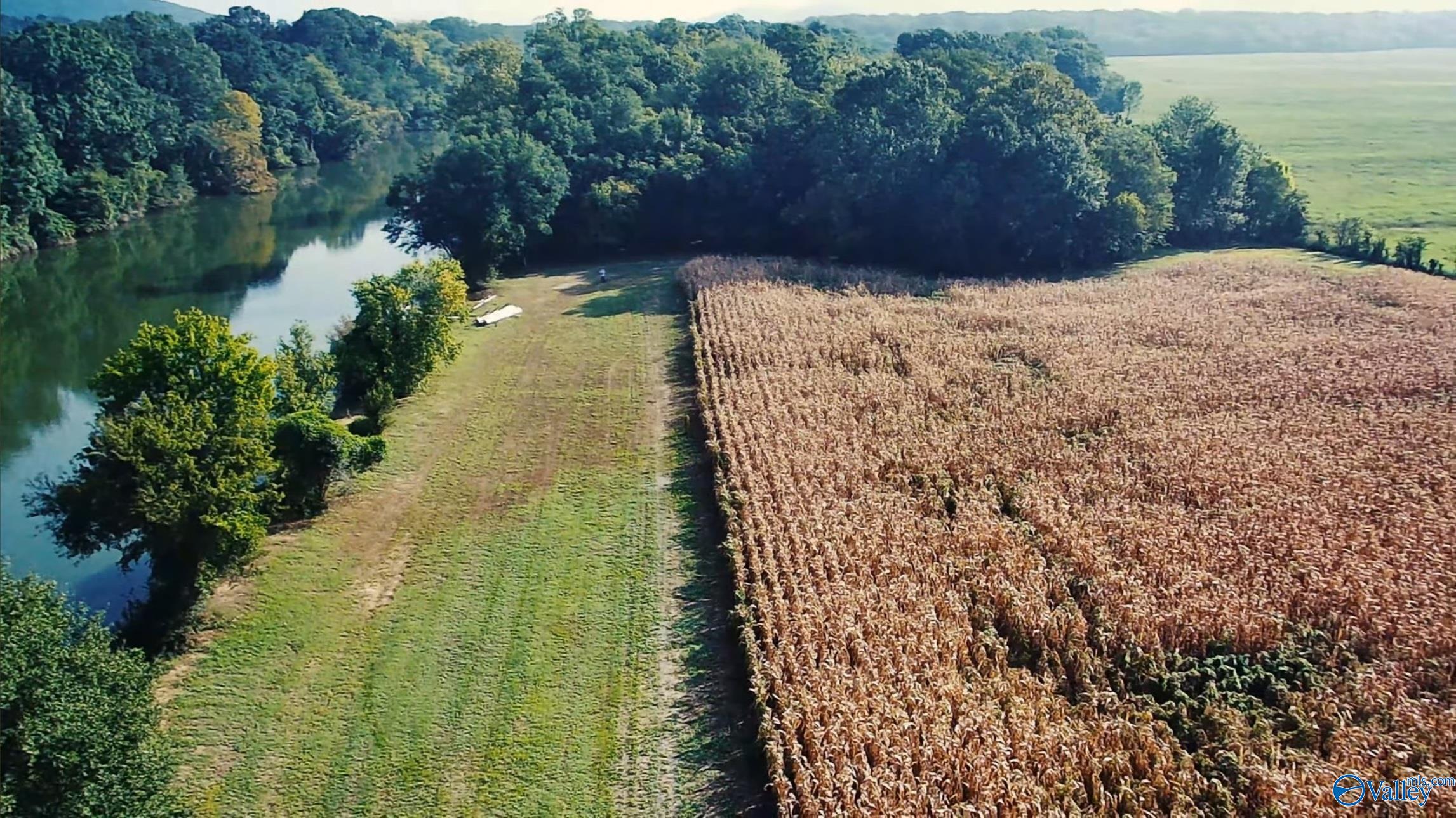24.2 Acres C C Ivey Road