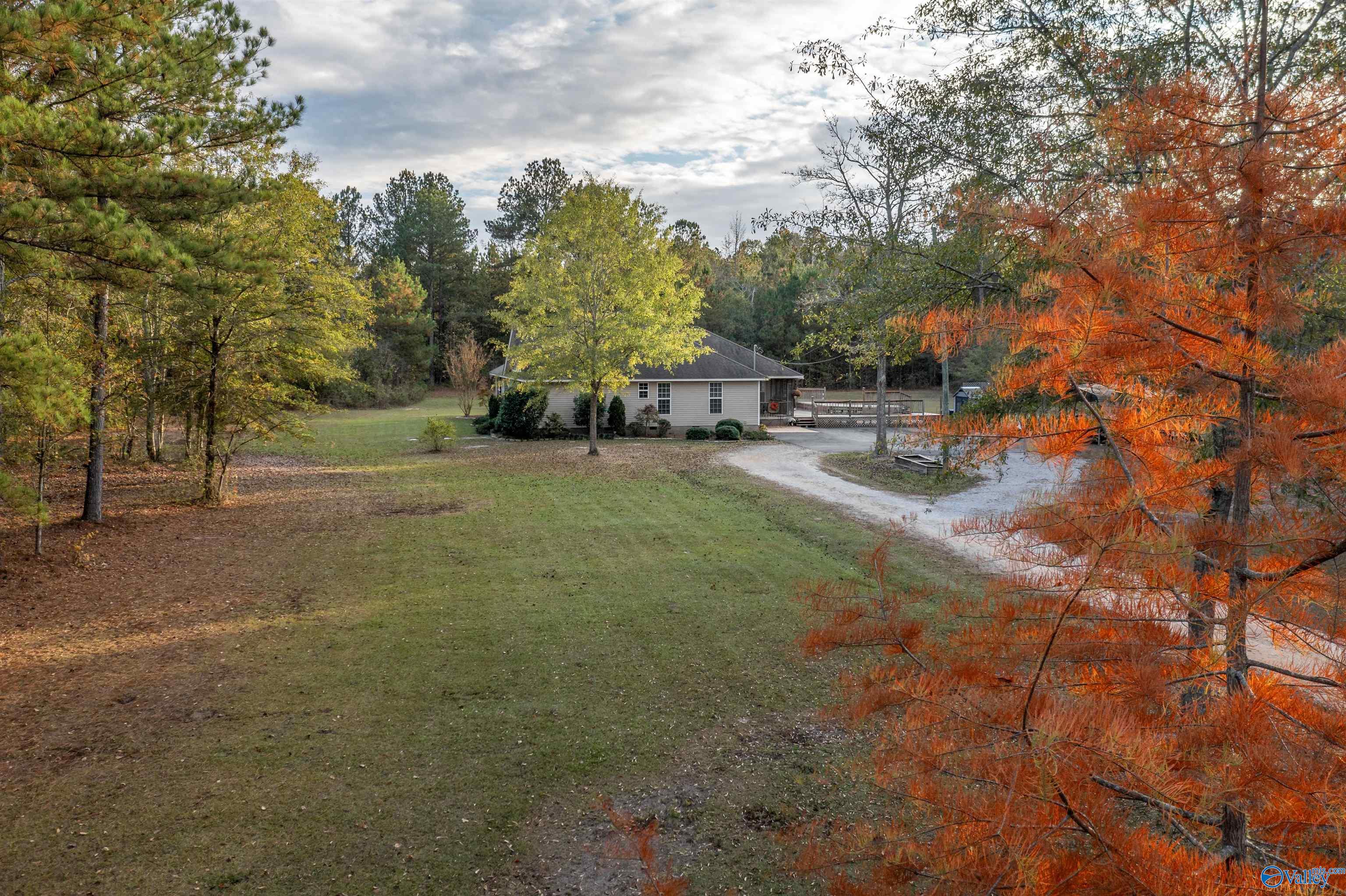 3252 Reaves Road, Hokes Bluff, Alabama image 21