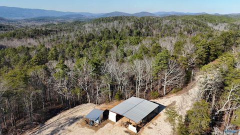 Vacant Land For Sale - 1032 County Road 202<br/> Cleburne County, Borden Springs, AL 36272