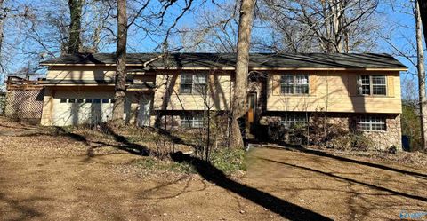 166 Third Avenue W Grant AL 35747