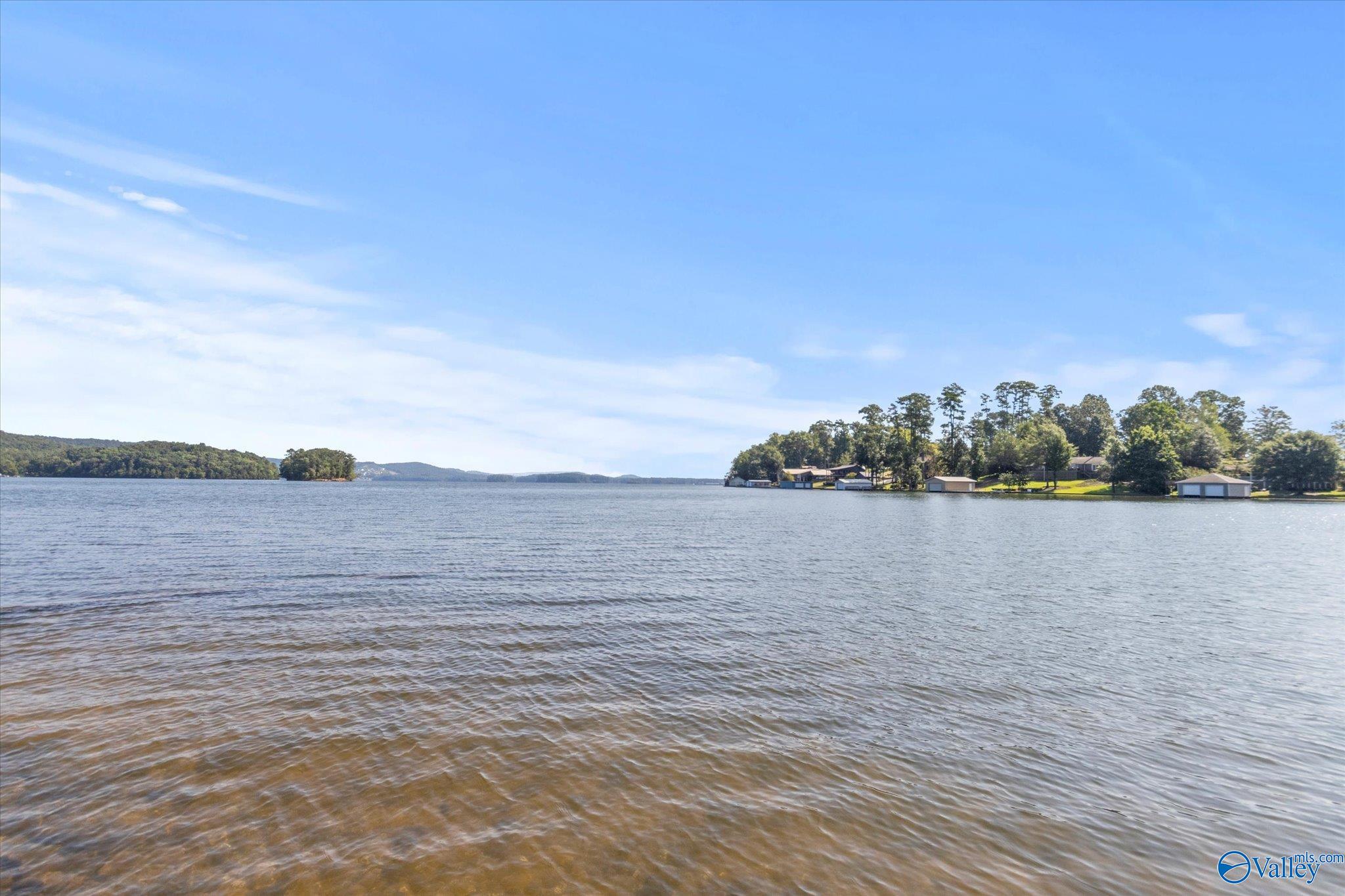 205 Cotton Road, Guntersville, Alabama image 42