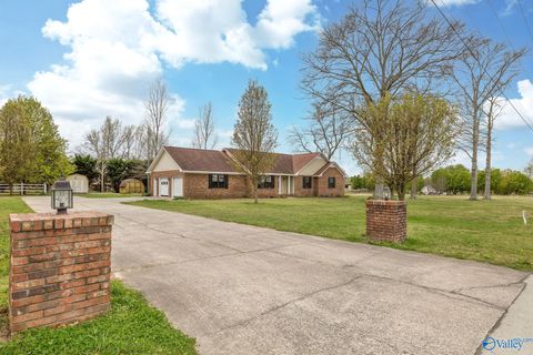 Photo of 900 Section Line Road, Albertville, AL 35950 (MLS # 21912780)