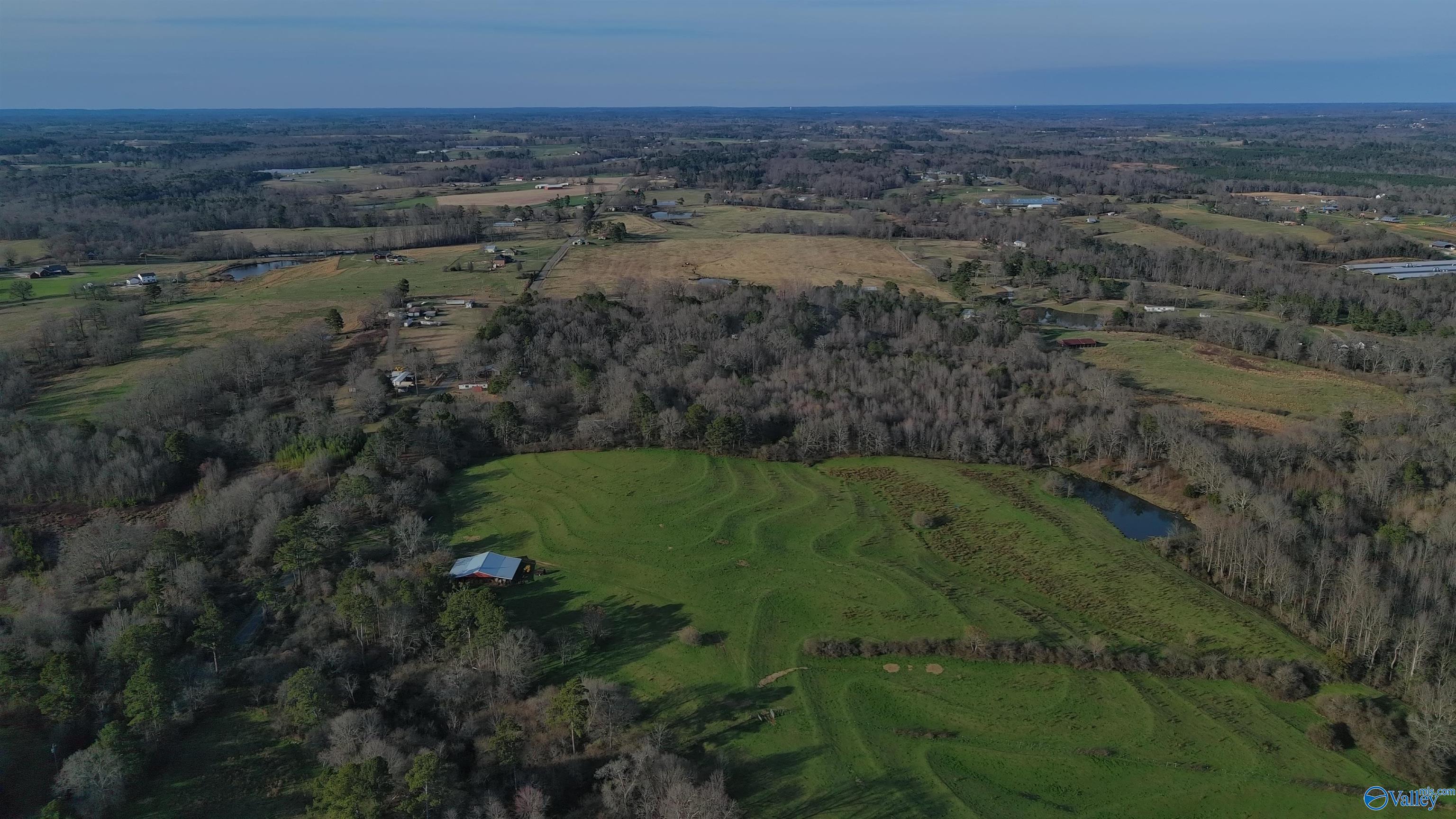 2663 County Road 643, Hanceville, Alabama image 1