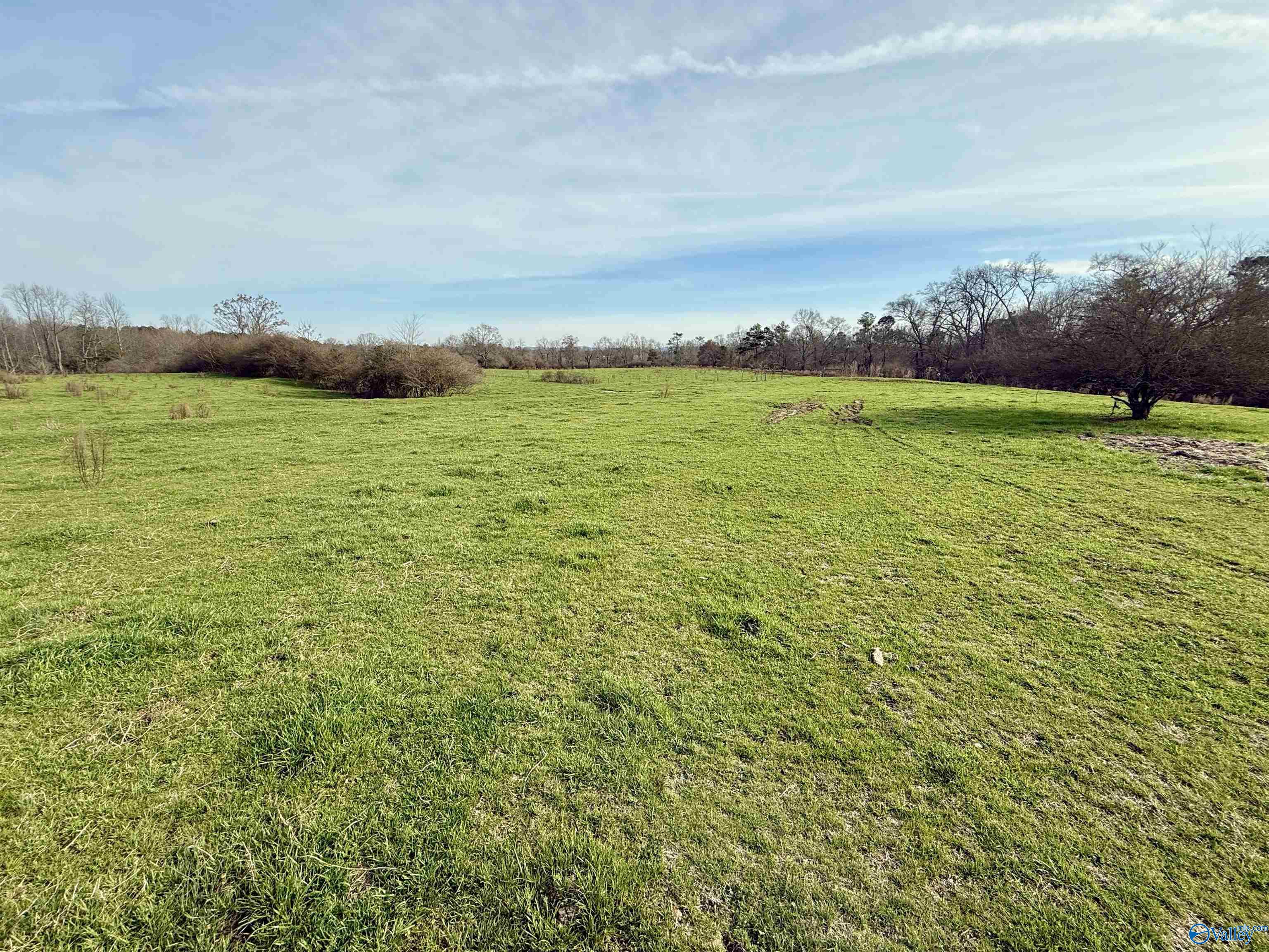 2663 County Road 643, Hanceville, Alabama image 2