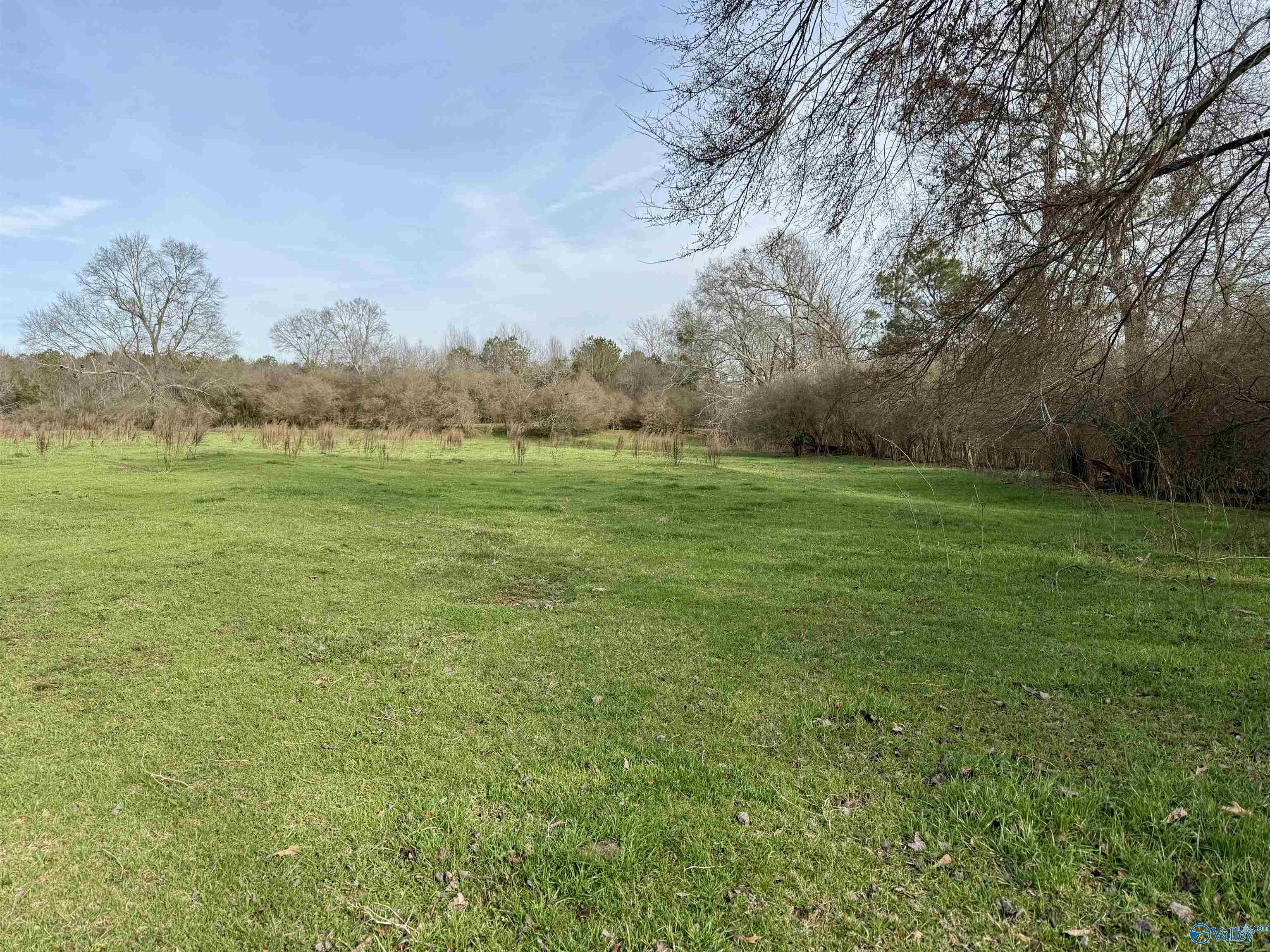 2663 County Road 643, Hanceville, Alabama image 3