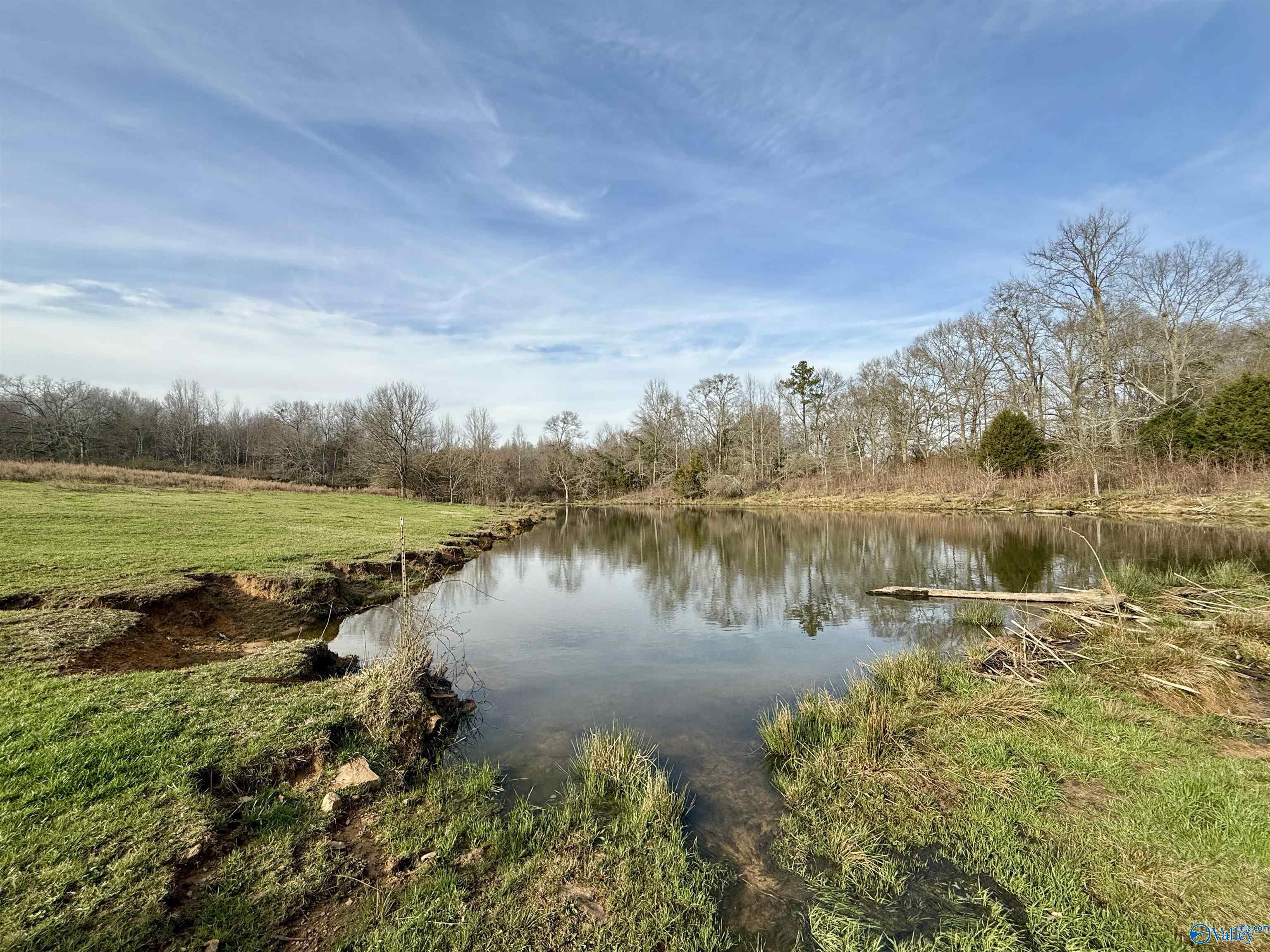 2663 County Road 643, Hanceville, Alabama image 6