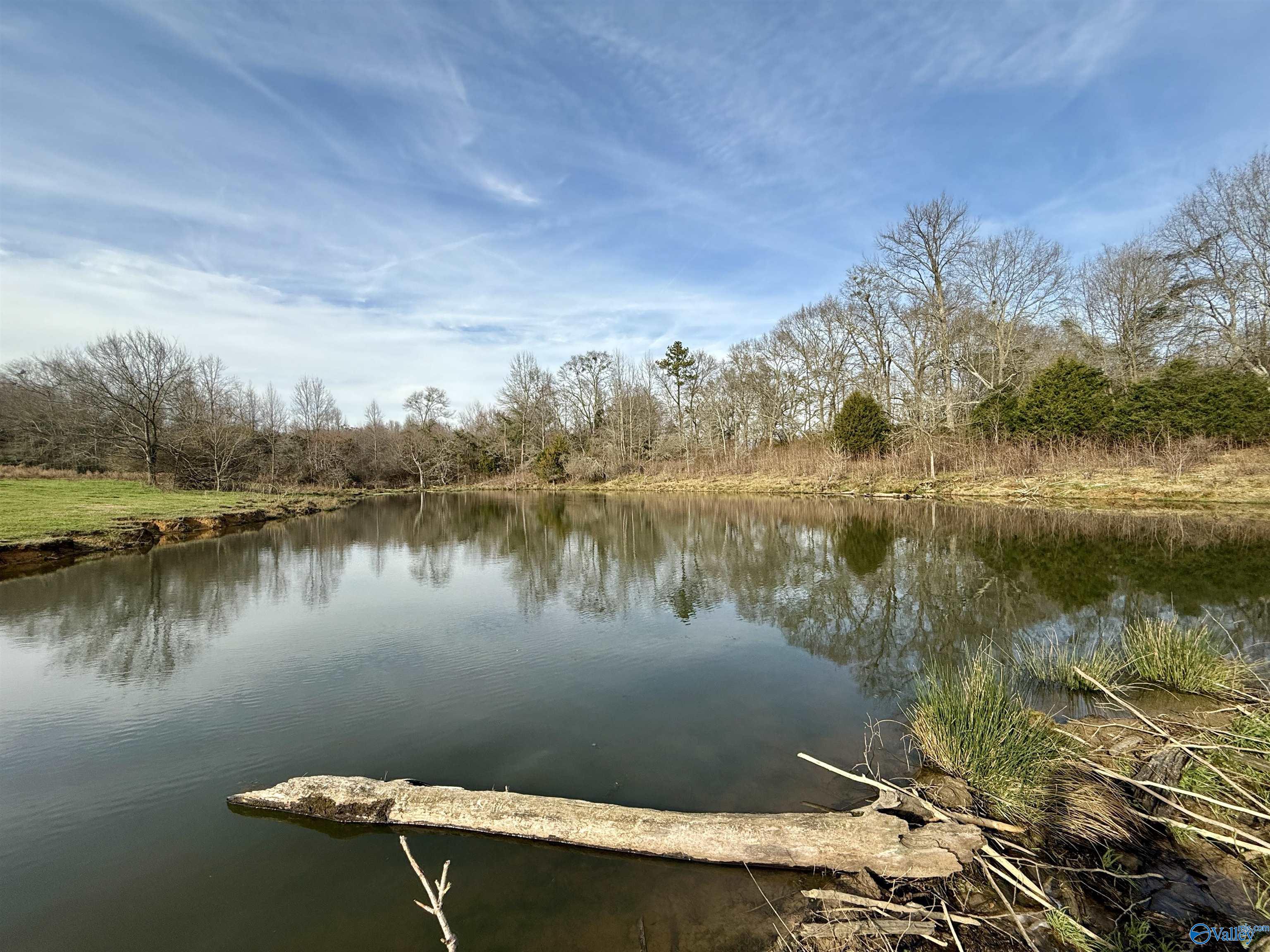 2663 County Road 643, Hanceville, Alabama image 8