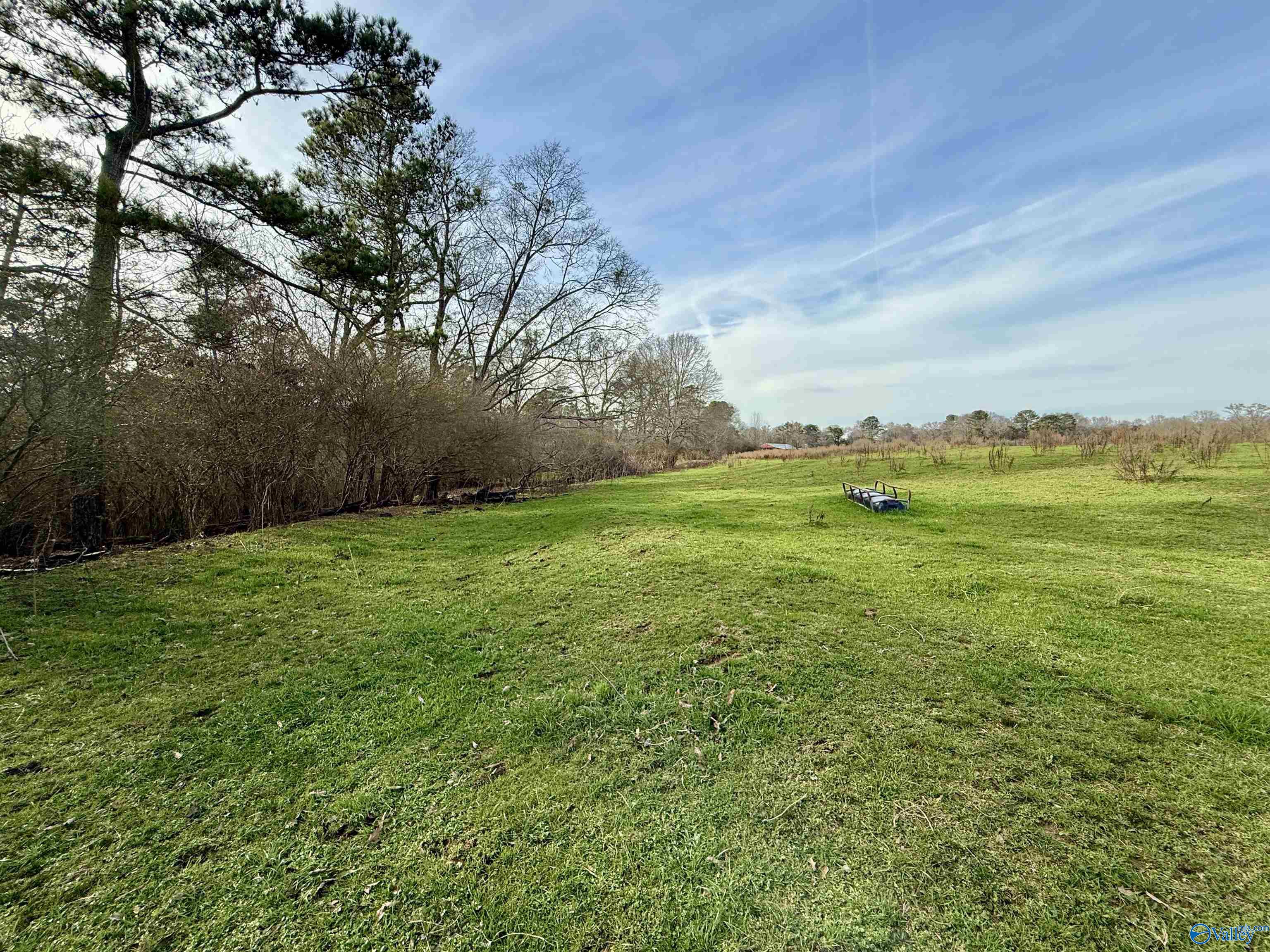2663 County Road 643, Hanceville, Alabama image 4