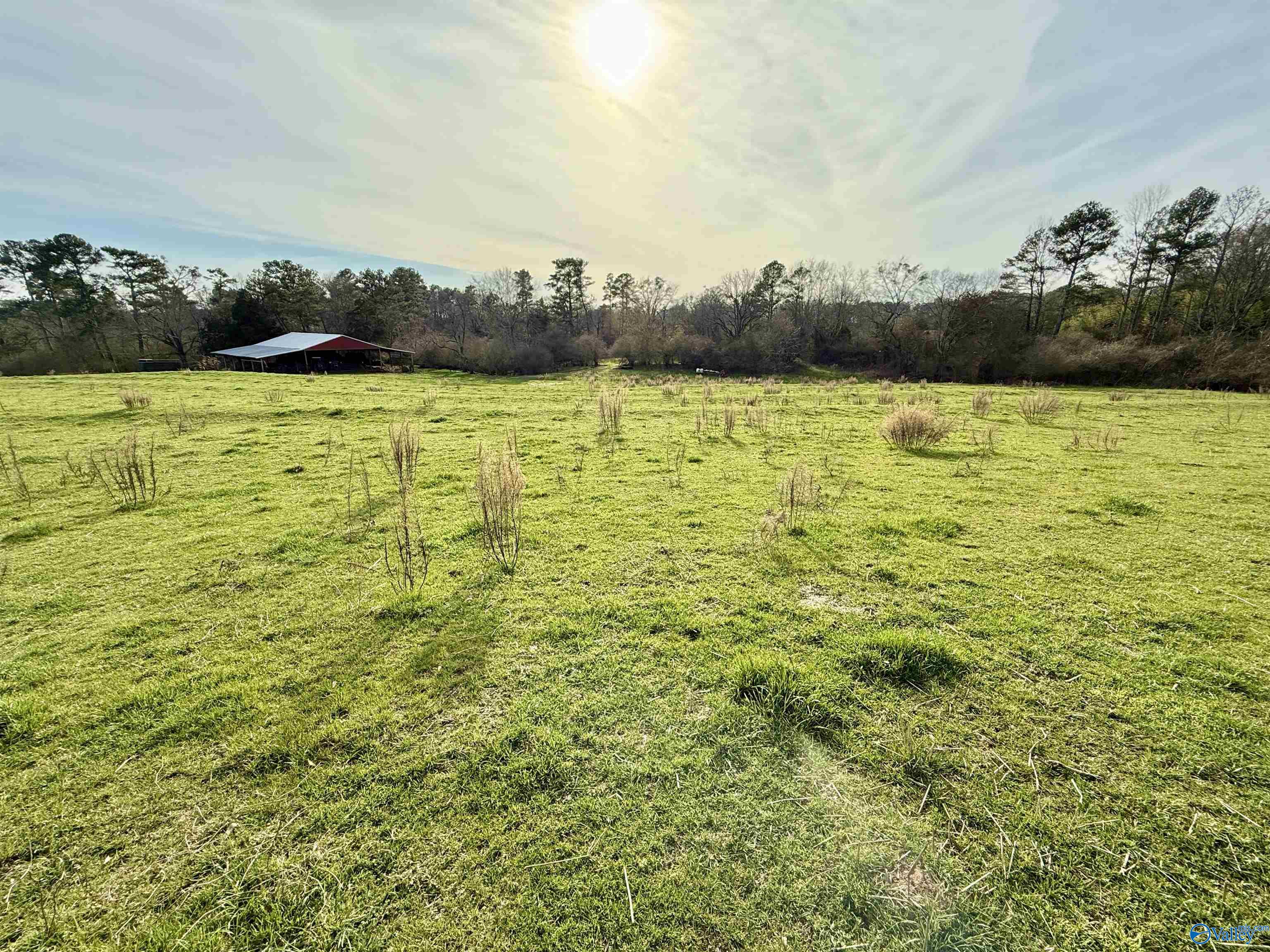2663 County Road 643, Hanceville, Alabama image 10