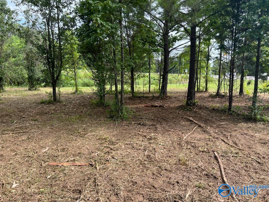7.17 Acres South Greenway Drive, Trinity, Alabama image 4