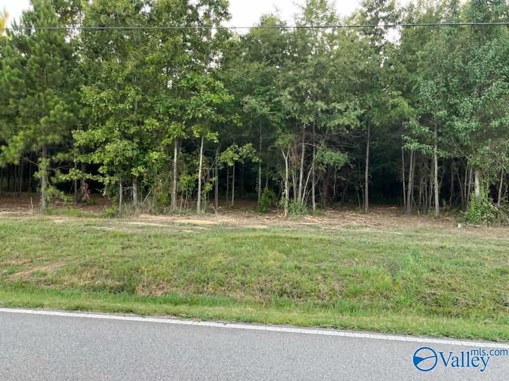 7.17 Acres South Greenway Drive, Trinity, Alabama image 3