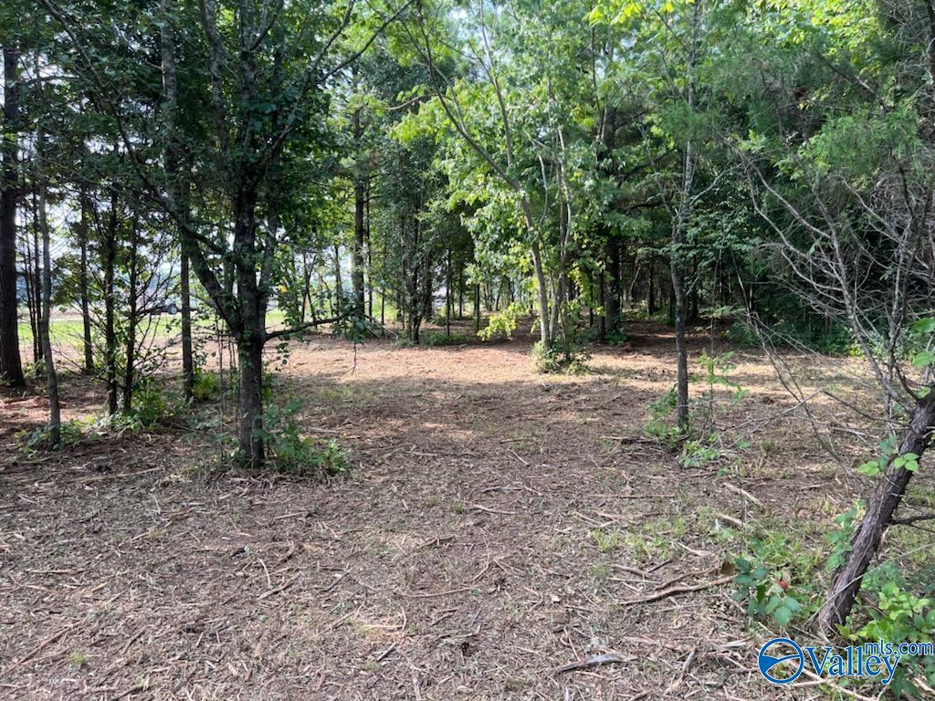 7.17 Acres South Greenway Drive, Trinity, Alabama image 2