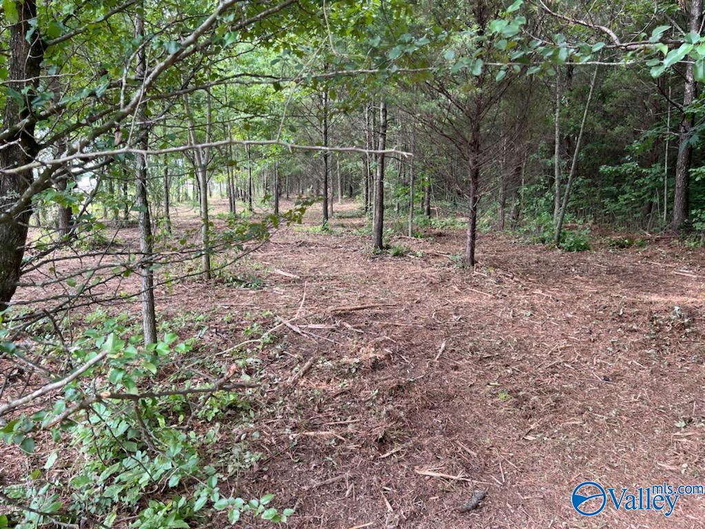 7.17 Acres South Greenway Drive, Trinity, Alabama image 6