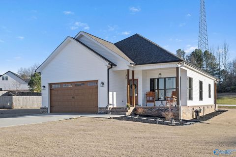 Photo of 145 Vail Drive, Grant, AL 35747 (MLS # 21909318)