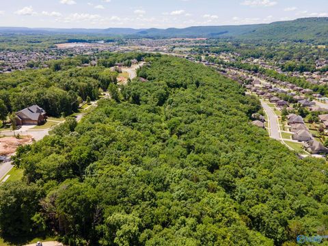 Vacant Land For Sale - 4631 Saddle Ridge Drive #LOT 8<br/> Owens Cross Roads, AL 35763