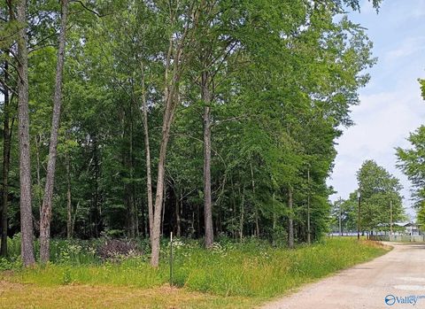 Vacant Land For Sale - LOTS 6-8 County Road 450<br/> Centre, AL 35960