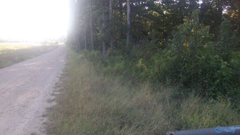 Vacant Land For Sale - 5331 County Road 9<br/> Geraldine, AL 35974