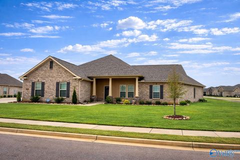 Photo of 207 Nellie Faye Lane, Meridianville, AL 35759 (MLS # 21912734)