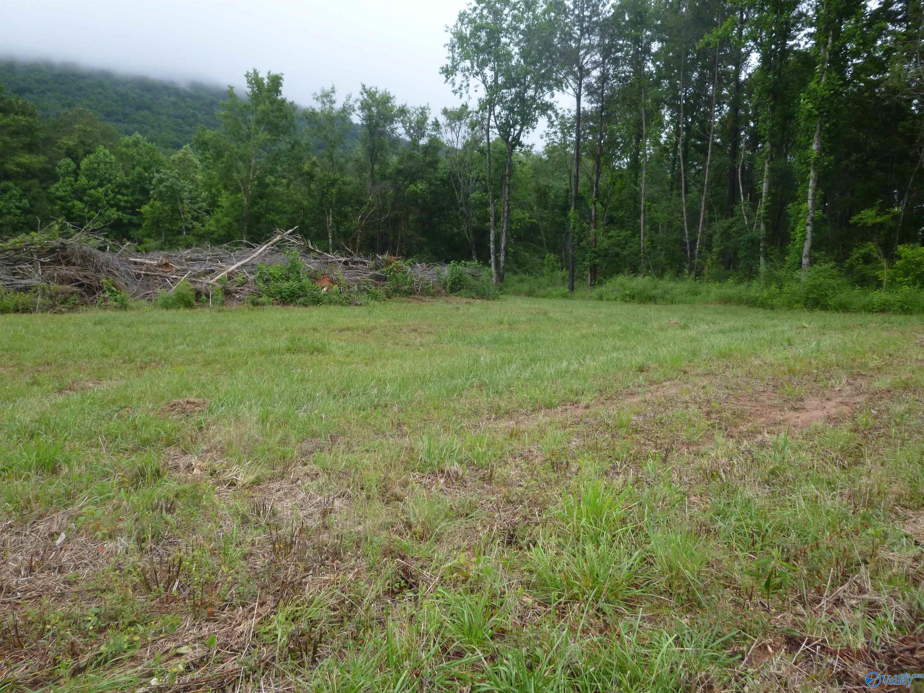 3501 Gault Avenue, Fort Payne, Alabama image 4