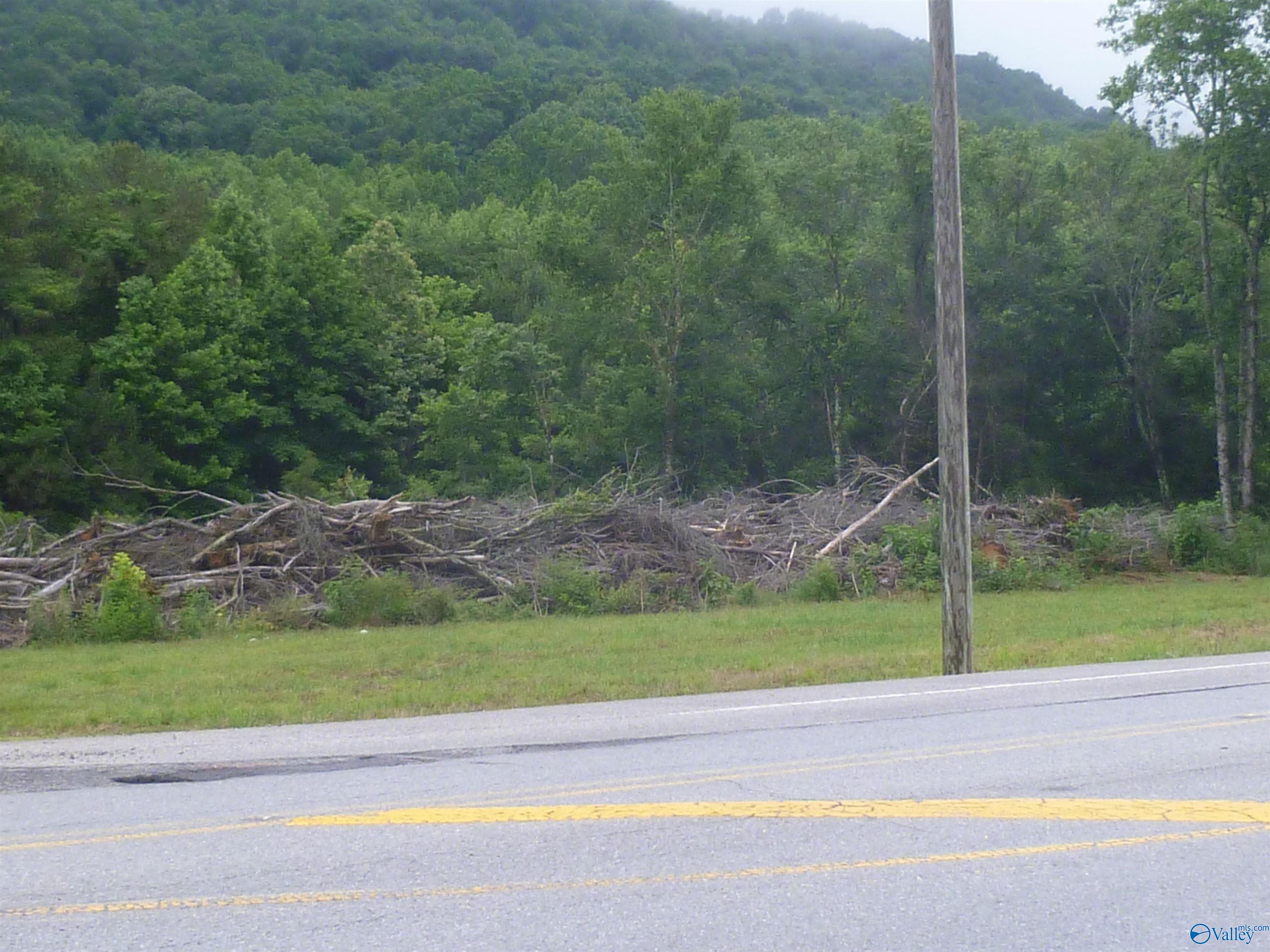 3501 Gault Avenue, Fort Payne, Alabama image 2
