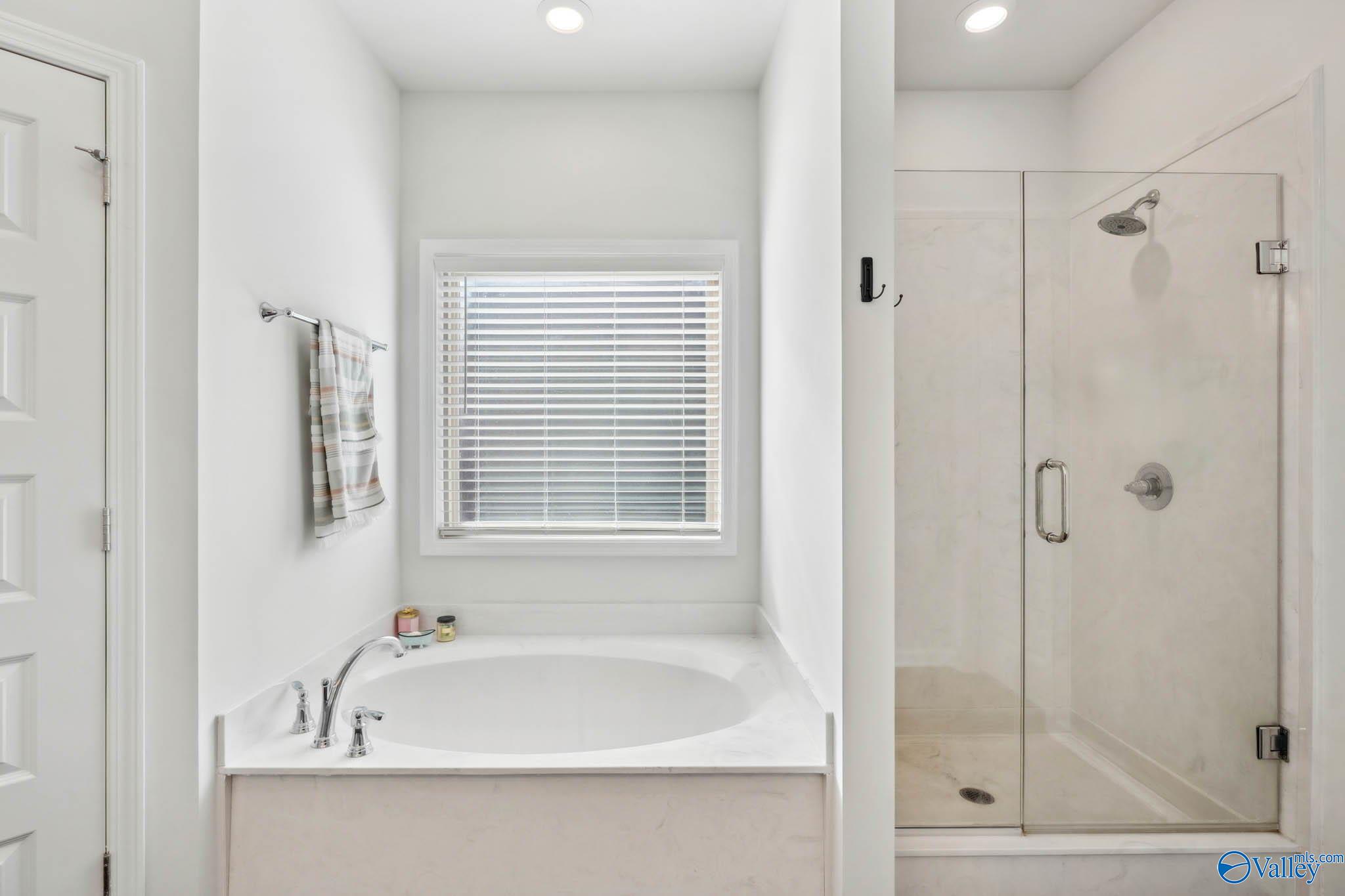 111 Grove Hill Circle, New Market, Alabama image 11