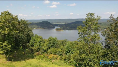 Vacant Land For Sale - LOT 302 County Road 1022 #302<br/> Cedar Bluff, AL 35959