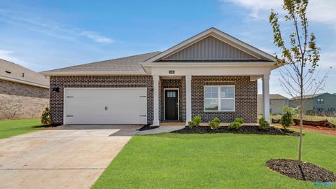 Homes For Sale - 3268 Feldspar Drive<br/> Madison, AL 35756