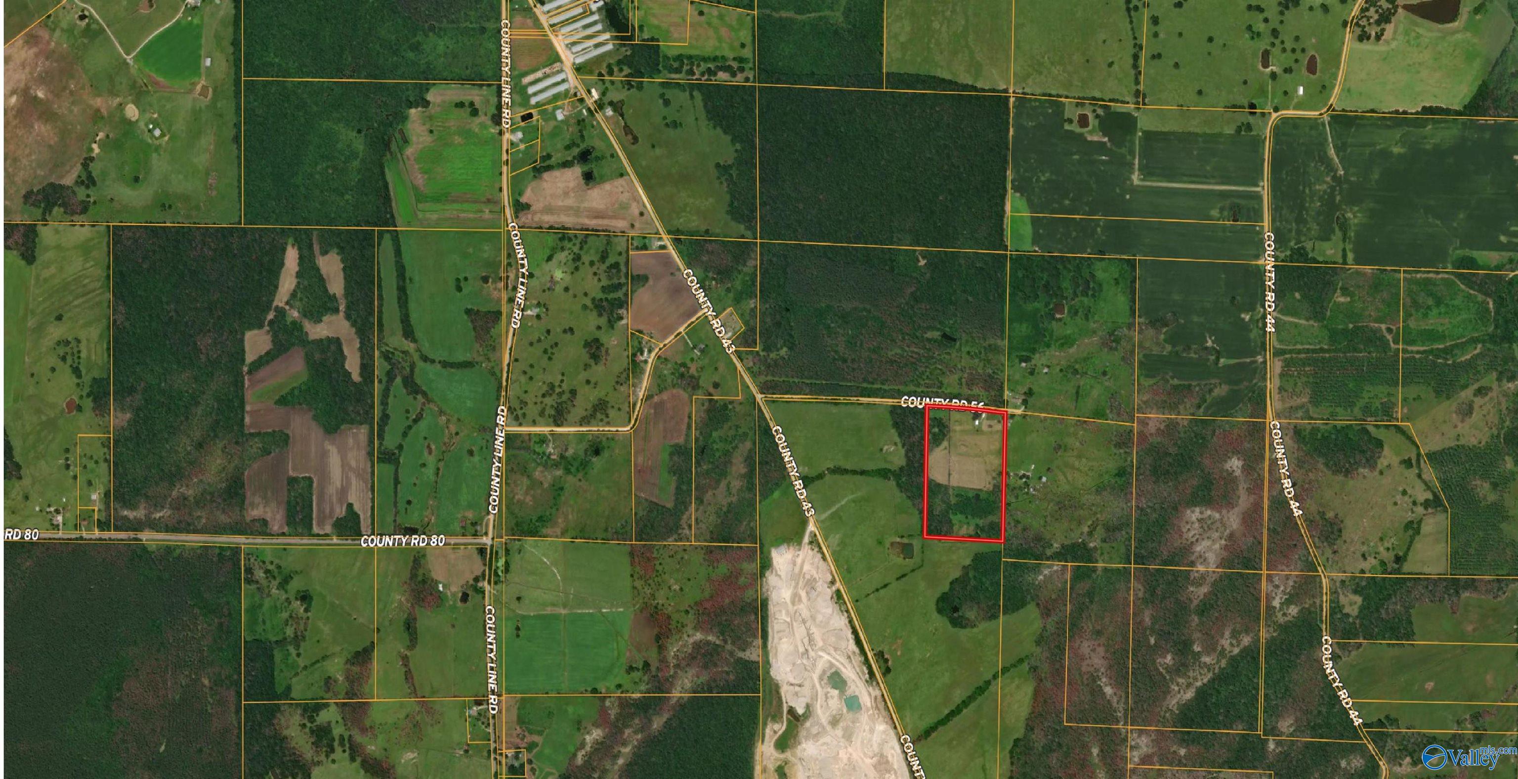 20 Acres County Road 456, Russellville, Alabama image 1