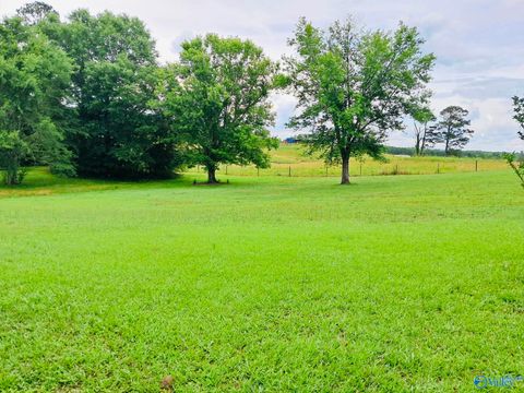 Vacant Land For Sale - 25 Silver Lakes Blvd<br/> Calhoun County, Gadsden, AL 35905