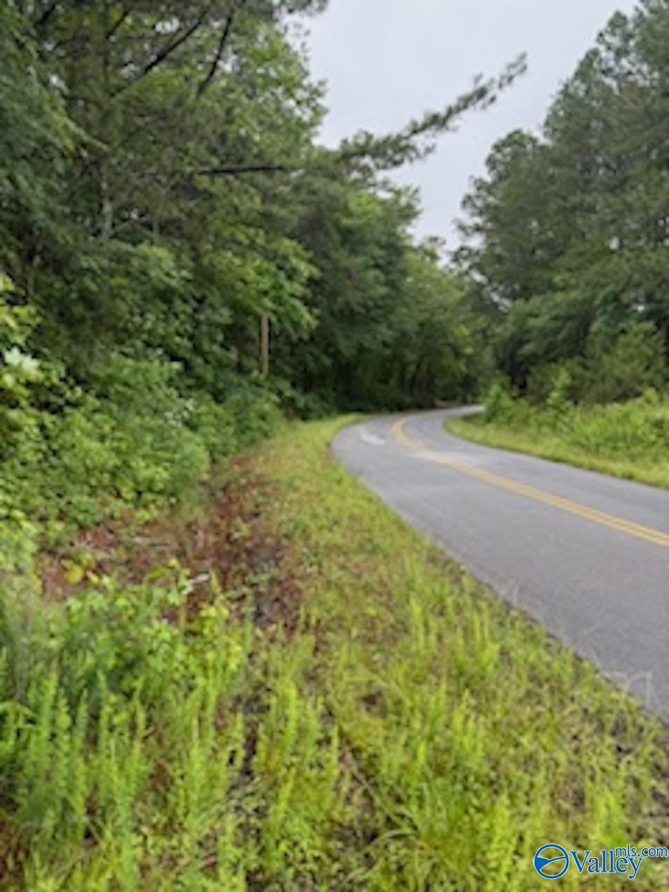 10 County Road 48, Cedar Bluff, Alabama image 8
