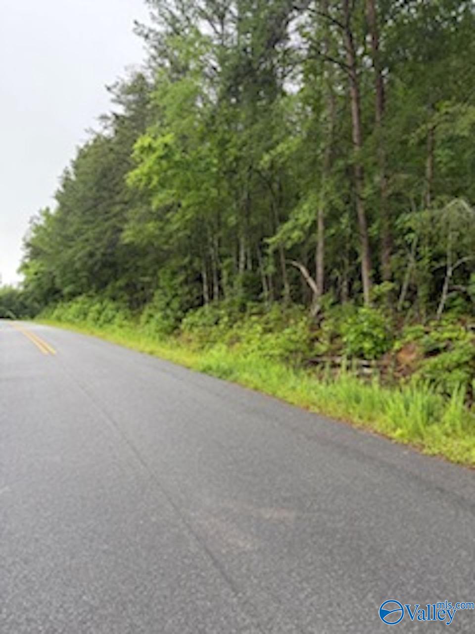 10 County Road 48, Cedar Bluff, Alabama image 9