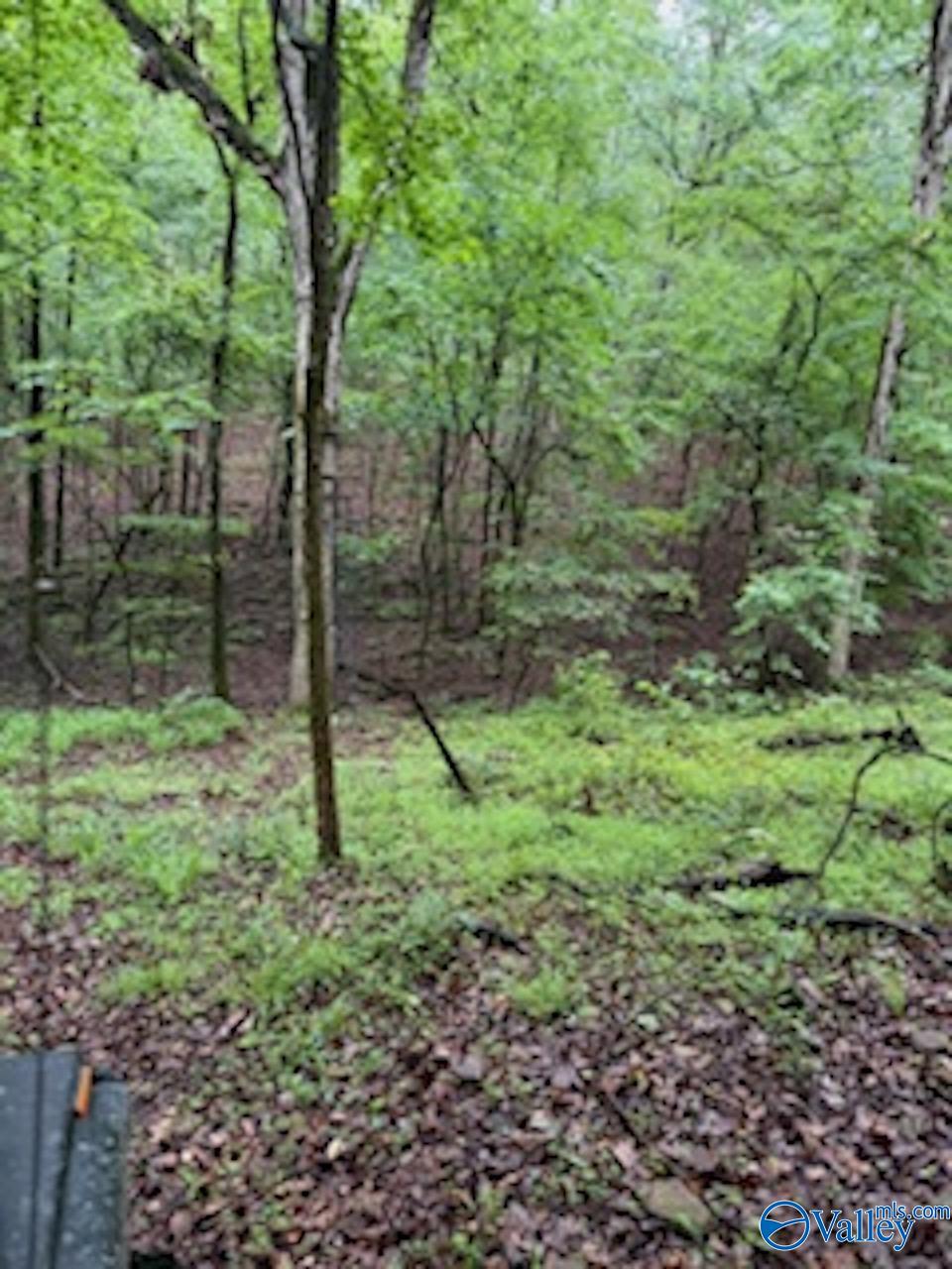 10 County Road 48, Cedar Bluff, Alabama image 6