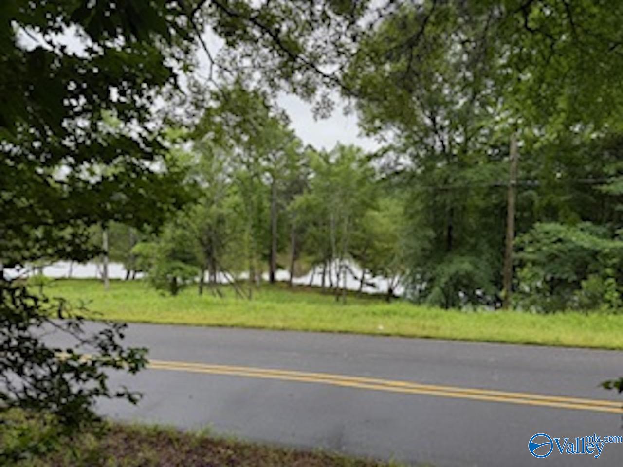 10 County Road 48, Cedar Bluff, Alabama image 1