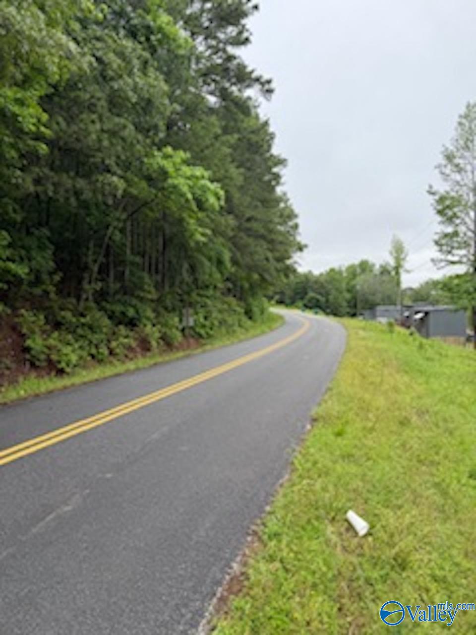 10 County Road 48, Cedar Bluff, Alabama image 14