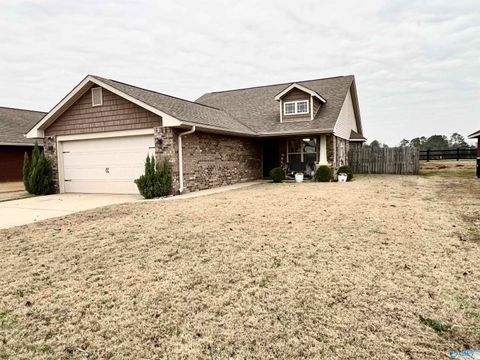 Photo of 176 Fields Pond Drive, Madison, AL 35756 (MLS # 21905166)