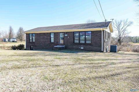 Photo of 4158 County Road 8, Woodville, AL 35776 (MLS # 21909343)